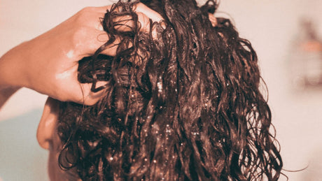 Wet, curly hair being held up by a person's hand.
