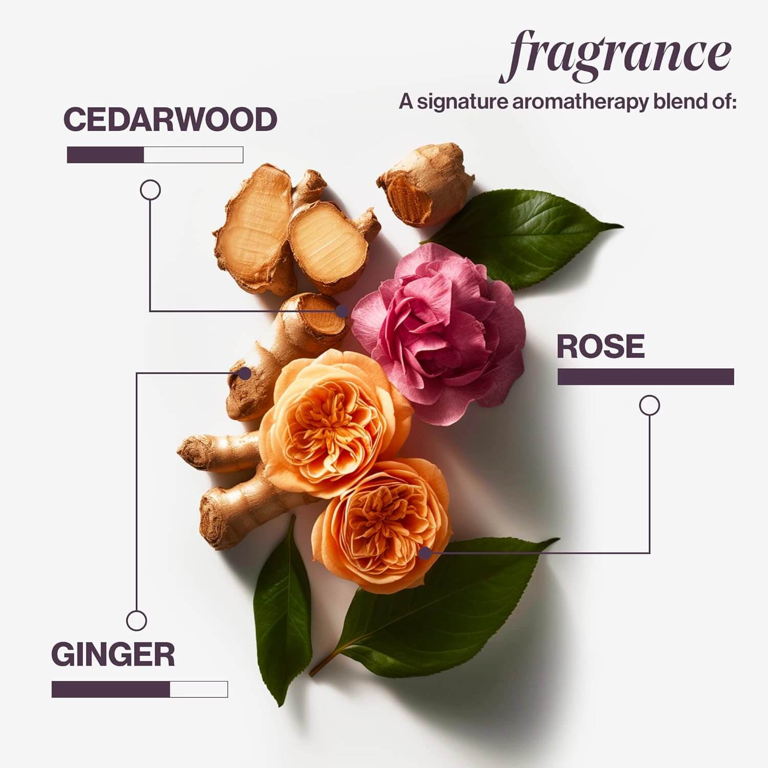 Fragrance blend of ginger, cedarwood, and rose flowers with leaves for aromatherapy.