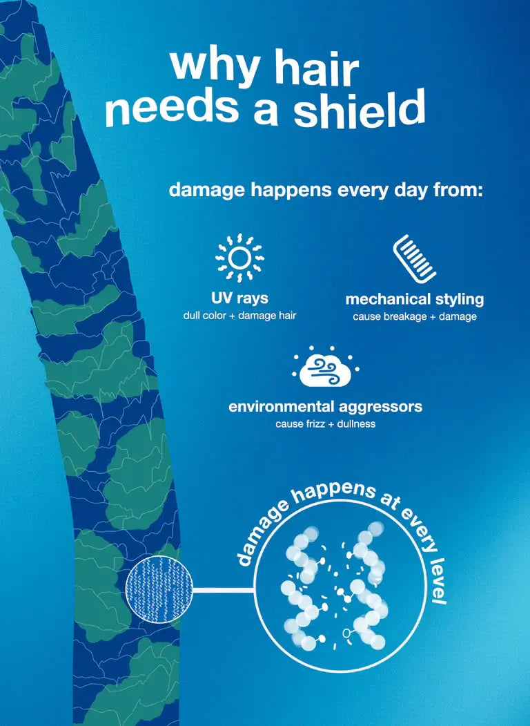 Infographic showing hair protection needs from UV rays, mechanical styling, and environmental aggressors, illustrating damage at every level.