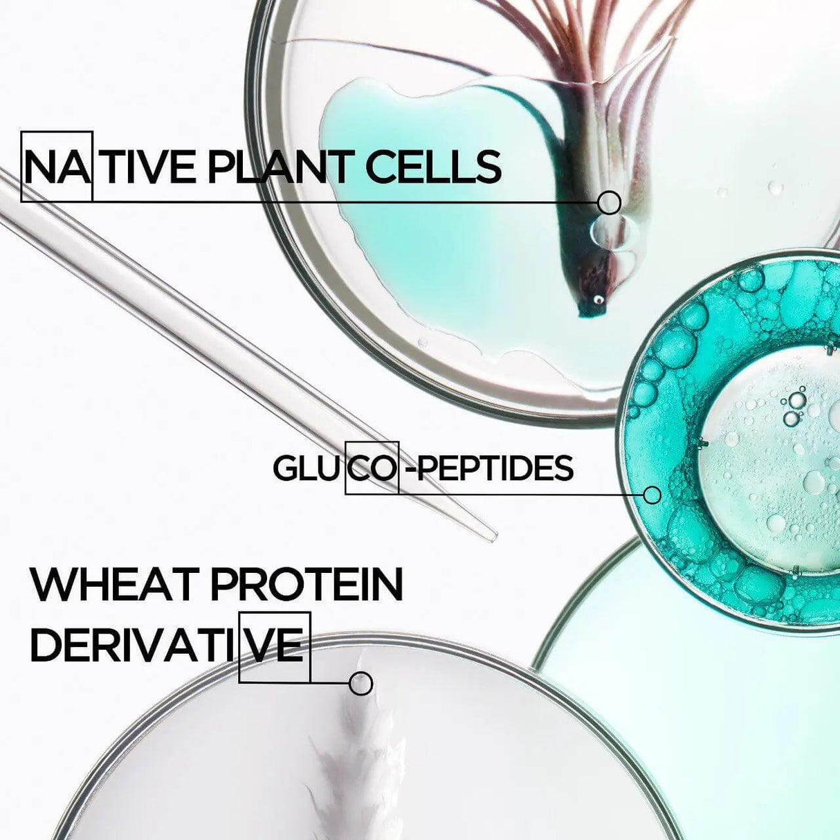 Resistance Masque ingredients: native plant cells, gluco-peptides, wheat protein derivative in laboratory petri dishes.