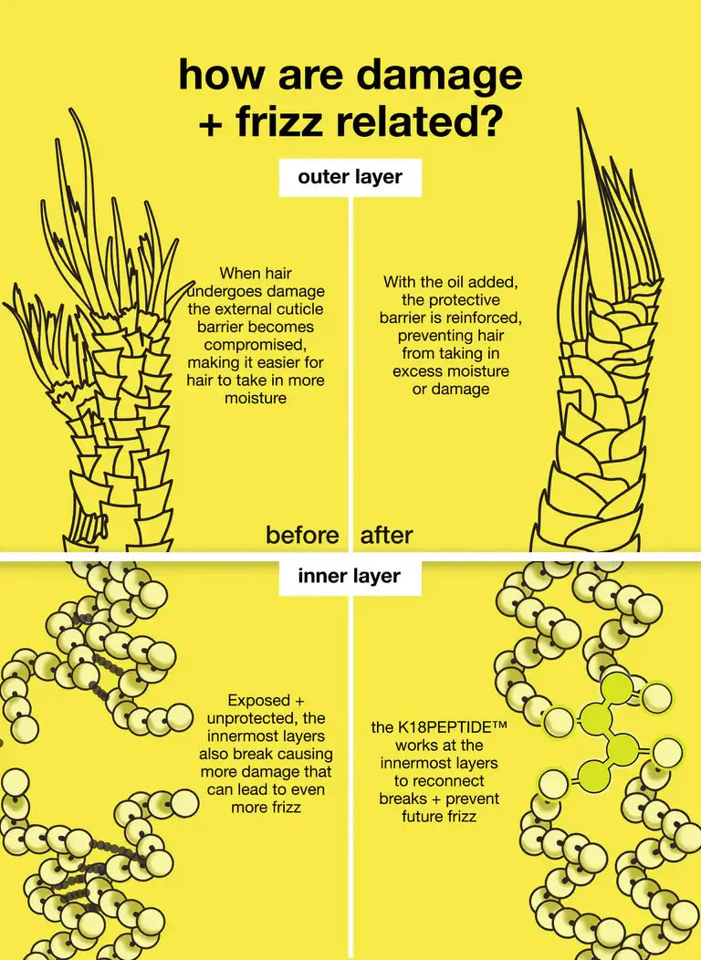 Infographic explaining how damage and frizz are related, showing before and after effects on hair's outer and inner layers.