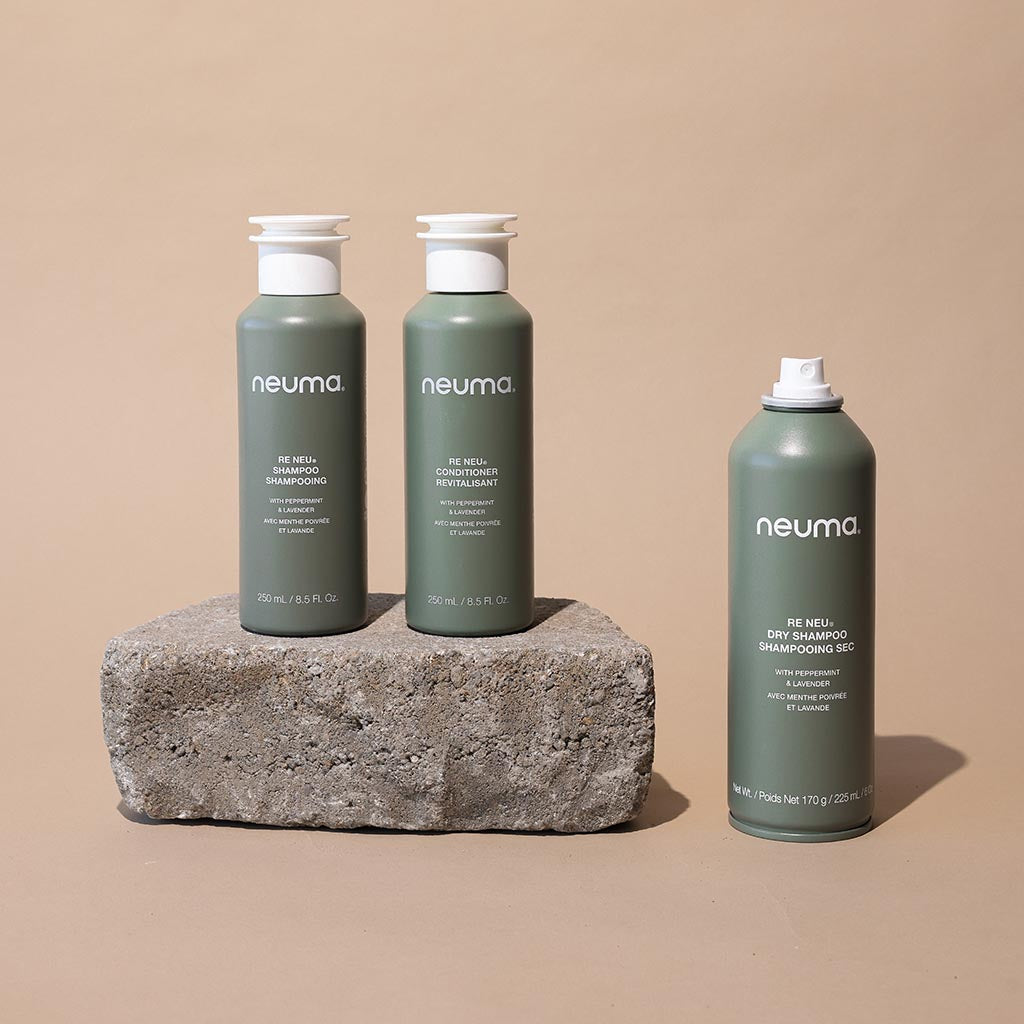 Re Neu Dry Shampoo bottles on stone, talc-free translucent formula for oil absorption, volume, and coconut kalette aroma.
