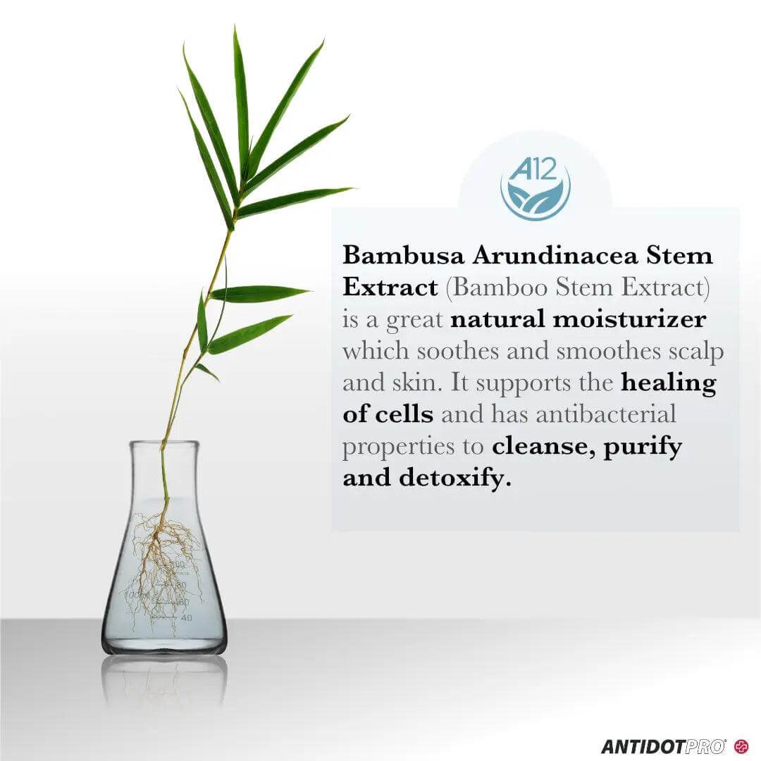 Bamboo stem in a glass beaker highlighting benefits like natural moisturizer, healing of cells, cleanse, purify, and detoxify.