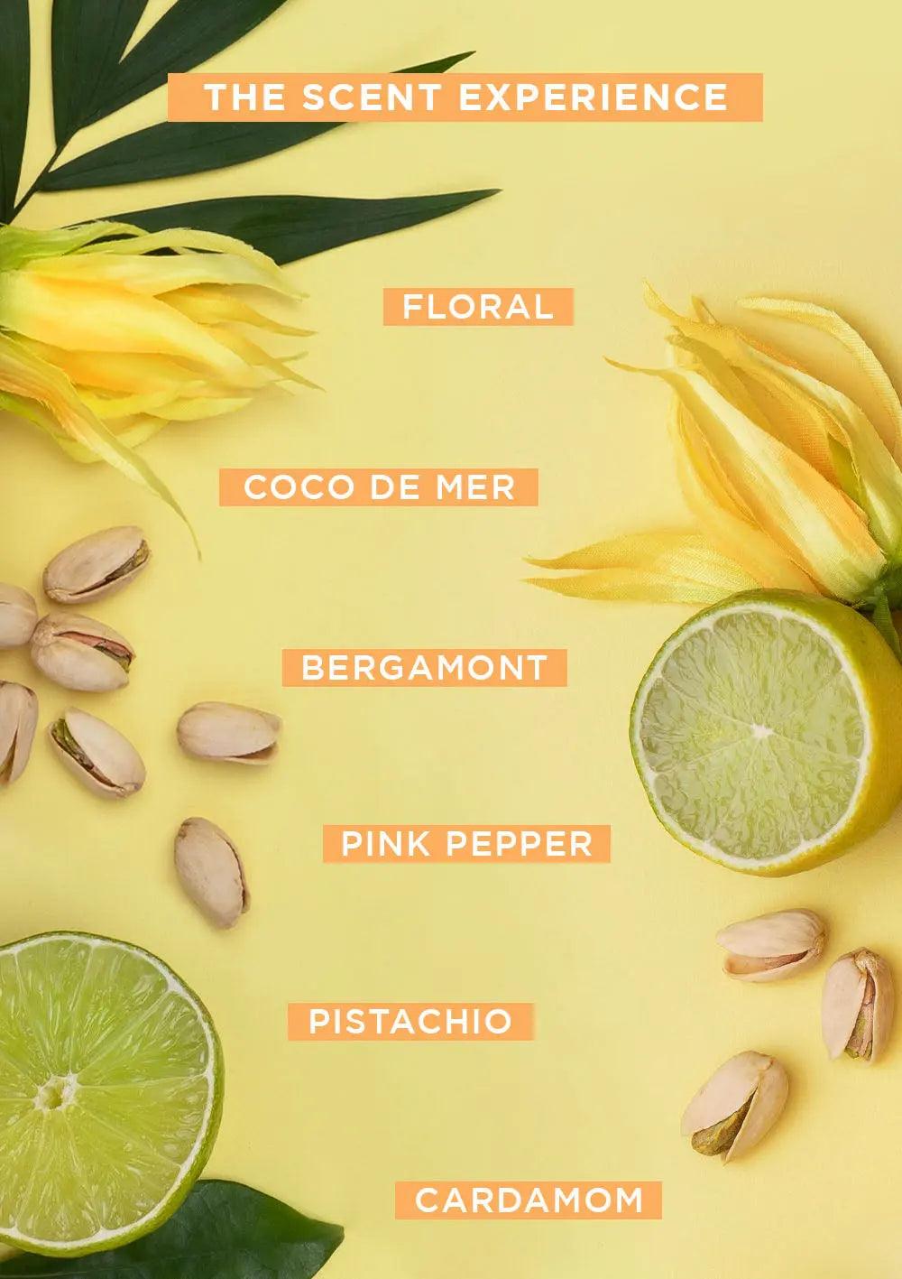 Image showing scent notes: floral, coco de mer, bergamot, pink pepper, pistachio, cardamom with lime and pistachios on a yellow background.