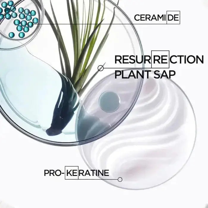 Illustration of Ciment Anti-Usure ingredients including ceramide, resurrection plant sap, and pro-keratine for hair repair.