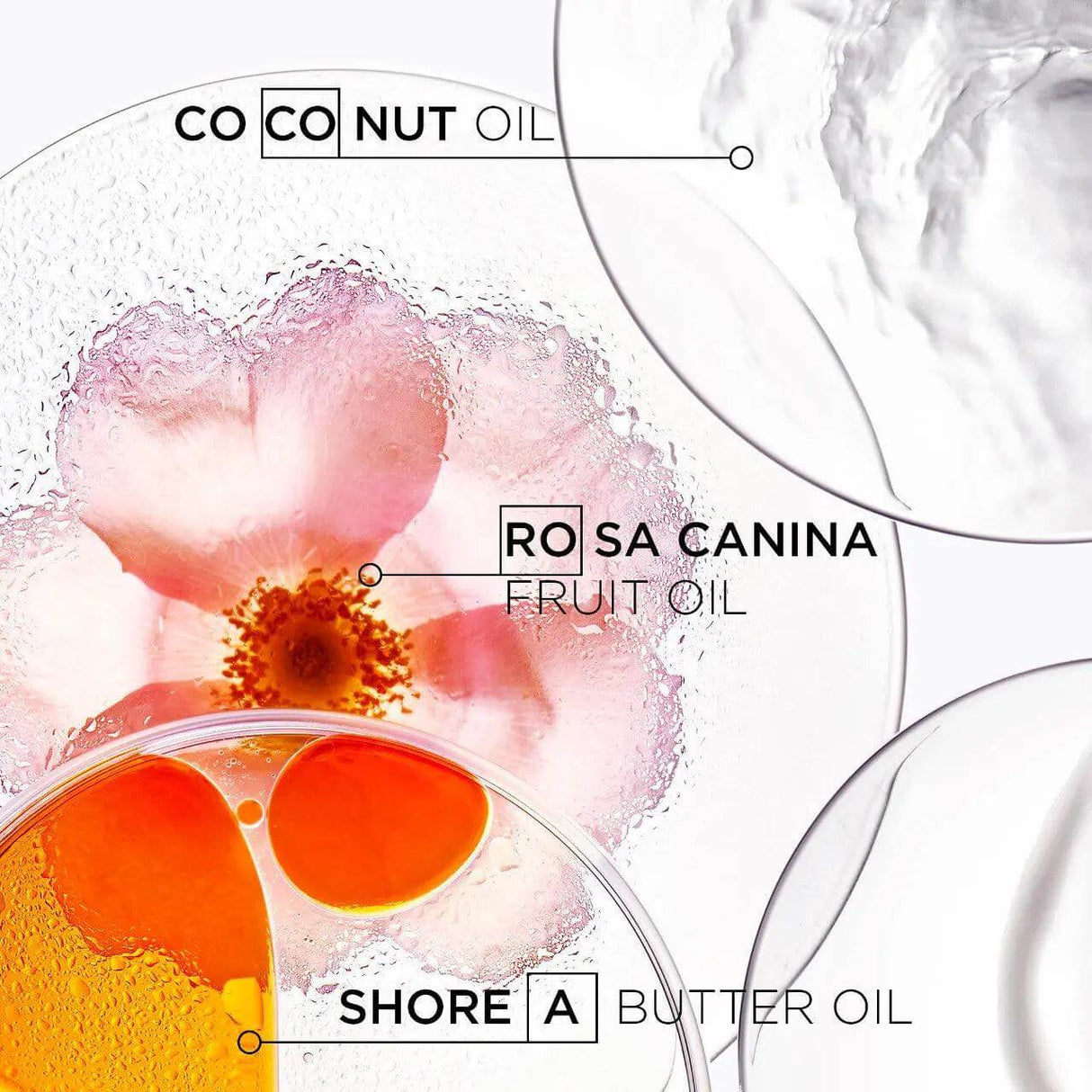 Ingredients of Kérastase Discipline Oléo-Relax: Coconut oil, Rosa Canina fruit oil, Shorea butter oil.