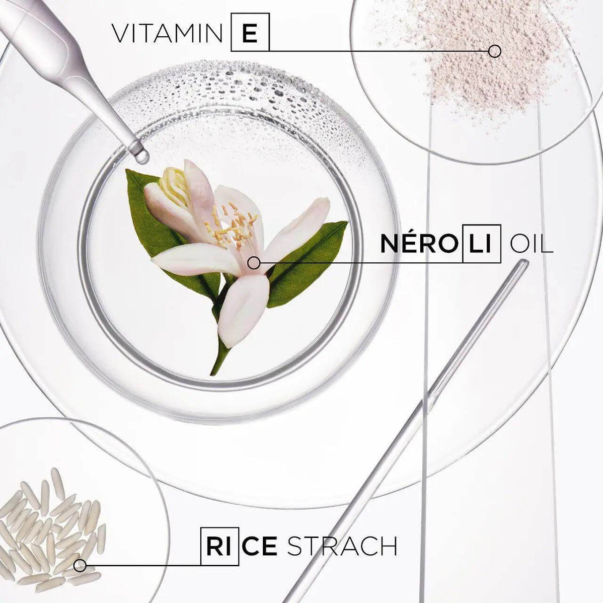 Ingredients of Kérastase Fresh Affair Dry Shampoo: Vitamin E, Neroli Oil, and Rice Starch in transparent containers.