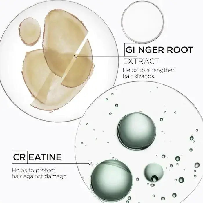 Illustration of ginger root extract and creatine molecules enhancing hair strength and protection.