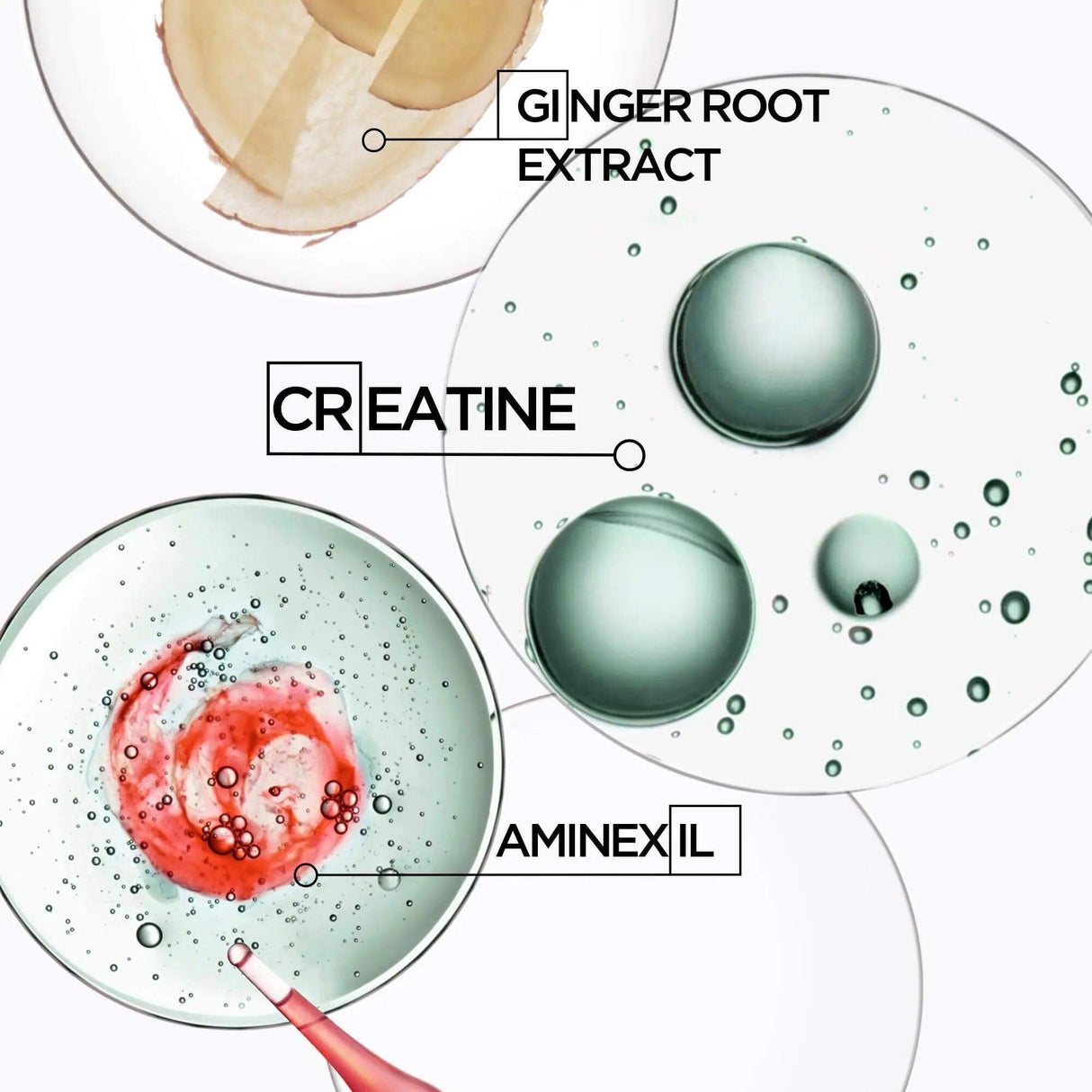 Ingredients of Kérastase Genesis Homme Serum: ginger root extract, creatine, aminexil, for strengthening and anti-hair loss.