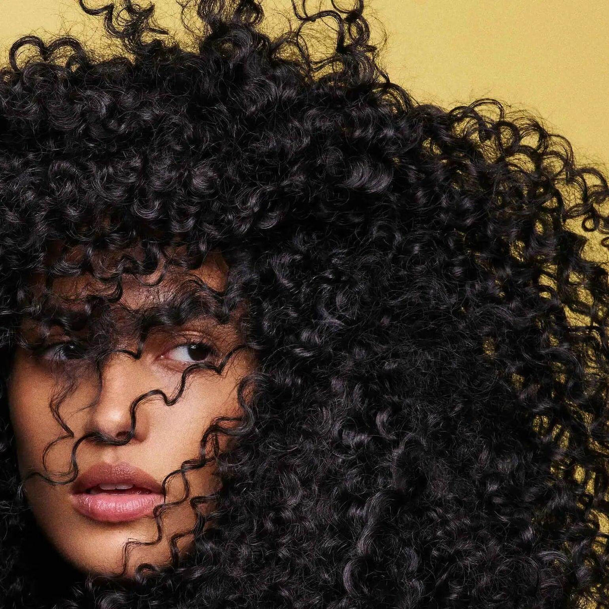 Close-up of curly hair showcasing the volume and definition achieved with Hair Alchemy Fortifying Treatment Serum.