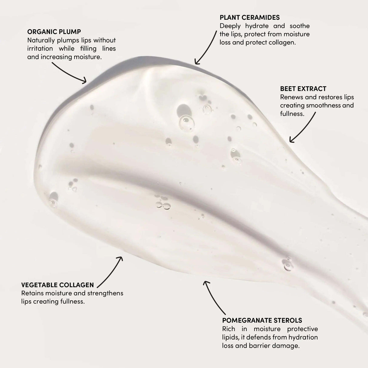 Close-up of lip serum texture with text annotations highlighting organic plump, plant ceramides, beet extract, vegetable collagen, pomegranate sterols.