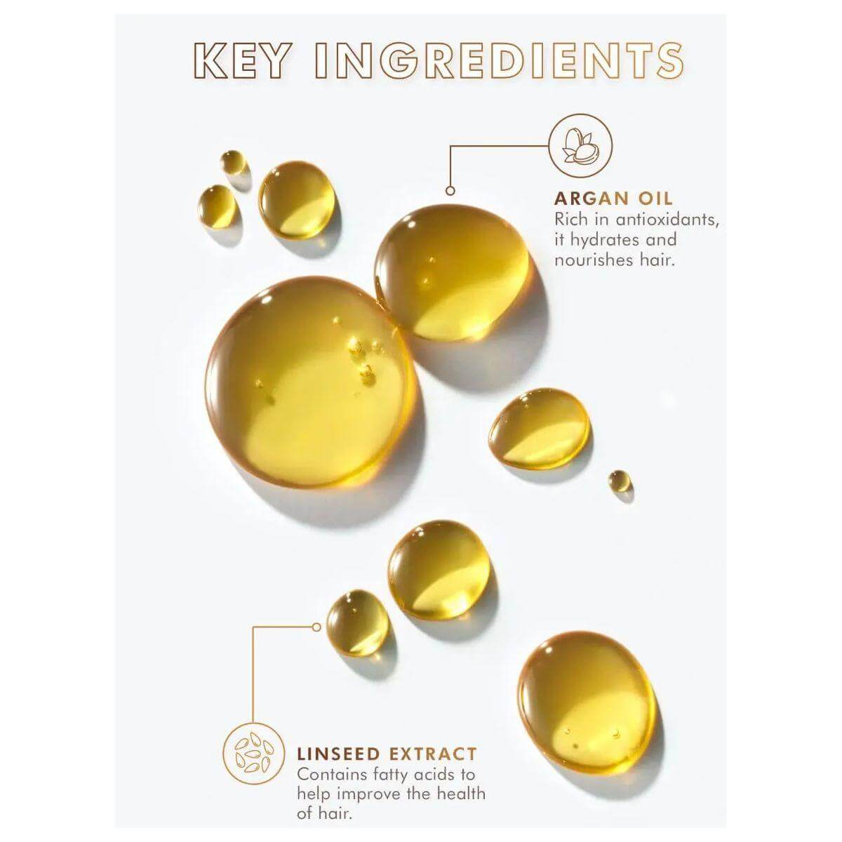 Key ingredients of Moroccan Oil Treatment showing Argan Oil and Linseed Extract illustrations
