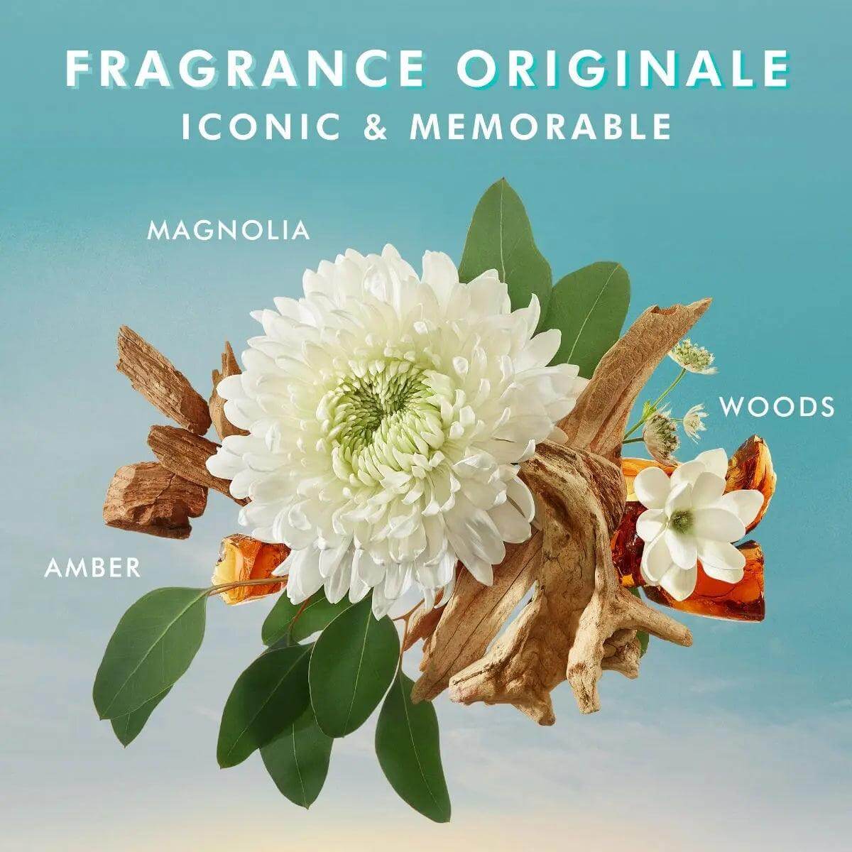 Alt Tag: "Fragrance Originale featuring magnolia, woods, and amber scents. Iconic and memorable hand wash blend."