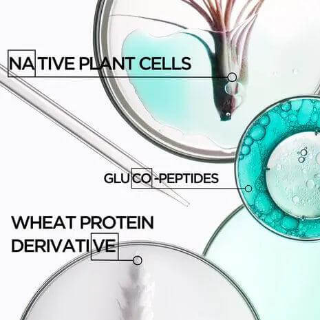 Petri dishes with native plant cells, glucopeptides, and wheat protein derivative for hair repair and strengthening.