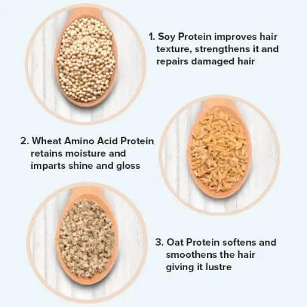 Image showing benefits of soy, wheat amino acid, and oat proteins for hair: improves texture, adds shine, and provides lustre.