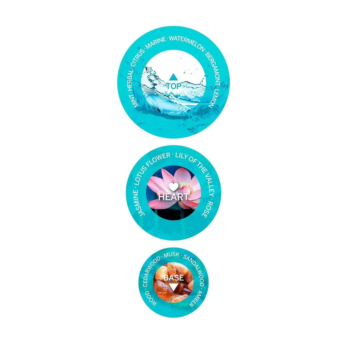 Fragrance pyramid with top, heart, and base notes of Uniq One Lotus Hair Treatment.